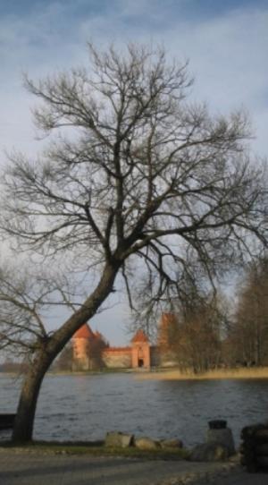 Hotel Ezerkiemis Trakai Exterior foto